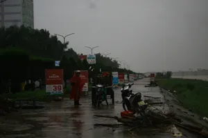 Người dân đua nhau vớt củi trên sông Trà Khúc