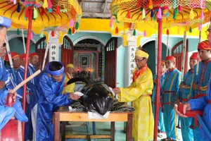 Nghi lễ an táng cá voi tại xã Bình Thuận