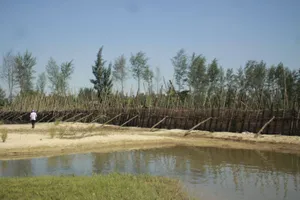  Nhiều hợp tác xã sai phạm trong sử dụng kinh phí cấp bù do miễn thu thủy lợi phí