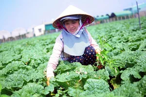 Sơ kết sản xuất trồng trọt năm 2018 các tỉnh duyên hải Nam Trung Bộ và Tây Nguyên