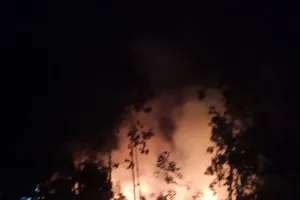 Trắng đêm khống chế vụ cháy rừng ở Đức Phổ, Quảng Ngãi