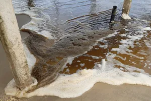 Quảng Ngãi:  Bãi tắm Khe Hai, nước biển chuyển màu nâu đen, nổi bọt