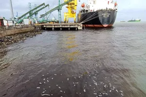 Quảng Ngãi: Công ty Hào Hưng vi phạm hành chính trong lĩnh vực môi trường bị xử phạt 75 triệu đồng