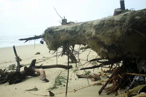 Xói lở bờ biển ở bãi biển Mỹ Khê, Quảng Ngãi