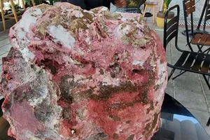  Một ngư dân tìm được khối đá lạ nặng 14kg nghi long diên hương