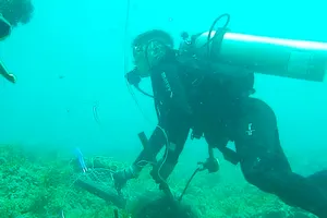 Quảng Ngãi: Làm sạch rác bãi rạn san hô đảo Lý Sơn