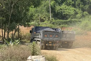 Quảng Ngãi kiểm tra toàn diện hoạt động khoáng sản mỏ đất của Công ty TNHH Lý Tuấn