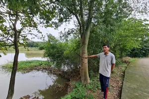 Bờ sông sạt lở nghiêm trọng, dọa “nuốt” 29 hộ dân ở Quảng Ngãi