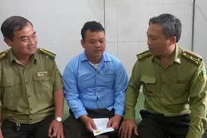 Quảng Ngãi: Truy đuổi xe chở gỗ lậu, Kiểm lâm bị hành hung