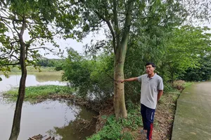 Quảng Ngãi: 35 tỷ đồng xây kè chống sạt lở bờ sông Cây Bứa