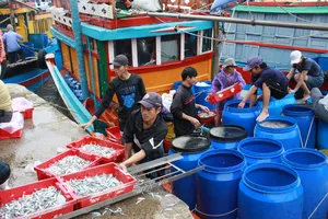 Quảng Ngãi đẩy mạnh tuyên truyền, bảo vệ chủ quyền biển đảo gắn phát triển kinh tế biển