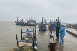 Quảng Ngãi cấm tàu thuyền ra khơi từ trưa ngày 17-10