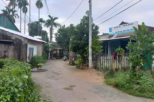 Người dân vùng quy hoạch treo tham gia giám sát dự án Công viên cây xanh Thạch Bích, Quảng Ngãi