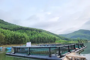 Quảng Ngãi: Thí điểm nuôi cá bằng lồng nhựa HDPE trên hồ và sông