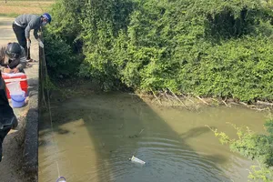 Quảng Ngãi: Xử phạt 330 triệu đối với một doanh nghiệp xả thải ra môi trường 