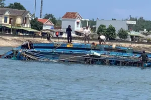 Một tàu cá Quảng Ngãi bị chìm khi đang neo đậu
