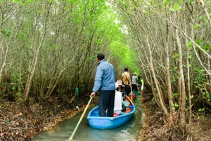 Du khách ngỡ ngàng trước vẻ đẹp thơ mộng rừng ngập mặn Bàu Cá Cái