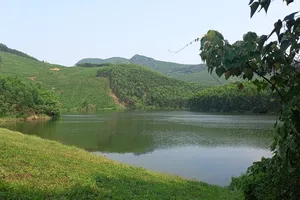 Quảng Ngãi: Tìm kiếm một người đi làm rẫy mất liên lạc 4 ngày