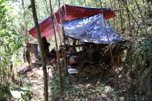 Nguyên nhân tái diễn khai thác vàng trái phép ở miền núi Trà Bồng