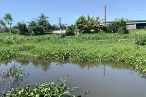 Nhiều cụm công nghiệp tại Quảng Ngãi chưa đầu tư hệ thống xử lý nước thải tập trung