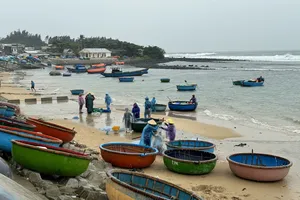 Quảng Ngãi cấm khai thác thủy sản có thời hạn vùng biển ven bờ từ ngày 1-11