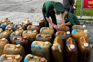 Biên phòng Quảng Ngãi phát hiện 1.000 lít dầu Diesel vận chuyển trái phép