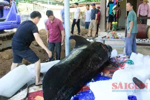 Xem nghi lễ an táng, thờ tự ông Nam Hải