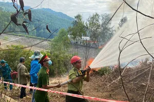 Nắng nóng, cảnh báo cháy rừng ở Quảng Ngãi