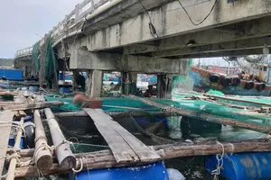 Nguy cơ sập cầu, Quảng Ngãi yêu cầu ngư dân không neo tàu vào trụ