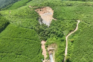 Ứng dụng công nghệ trong quản lý, bảo vệ rừng sau sáp nhập tỉnh Quảng Ngãi