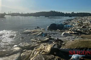 Rác thải ngập ngụa bãi biển Sa Cần, Quảng Ngãi