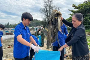 Hơn 200 đoàn viên, thanh niên ra quân dọn rác dọc bãi biển Sơn Trà, Quảng Ngãi
