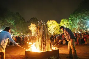 Quảng Ngãi: Du lịch sôi động du lịch từ rừng xanh đến biển đảo trong dịp lễ