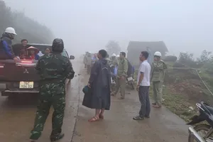 Quảng Ngãi: Phát hiện nứt đất, nguy cơ sạt lở, phải di dời khẩn cấp 28 hộ dân