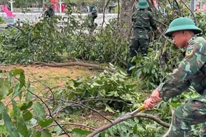 Quảng Ngãi lập 7 đoàn công tác của UBND tỉnh và 4 Sở chỉ huy bổ trợ ứng phó bão số 13