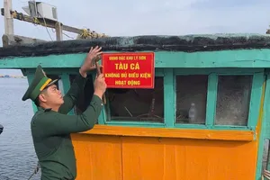 Đặc khu Lý Sơn niêm phong 7 tàu cá không đủ điều kiện hoạt động khai thác 