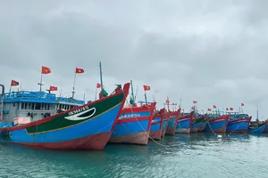 Các địa phương Quảng Ngãi lên phương án ứng phó bão số 15