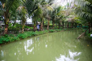 Nông dân Quảng Ngãi thu tiền tỷ từ mô hình VAC tổng hợp