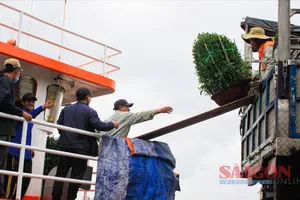 Chở hàng tết ra đặc khu Lý Sơn, Quảng Ngãi