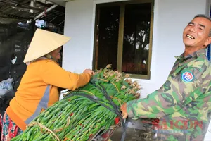 Nông dân Quảng Ngãi được mùa hoa lay ơn