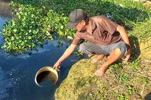 Xác định nguyên nhân ô nhiễm kênh chìm Sơn Tịnh là do bùn lắng, nước thải