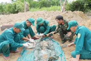 Quảng Ngãi: Phát hiện 5 hài cốt liệt sĩ cùng nhiều di vật tại Gò Tràm