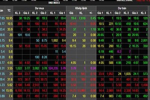 VN-Index recovers nearly 16 points after  tumble on previous day
