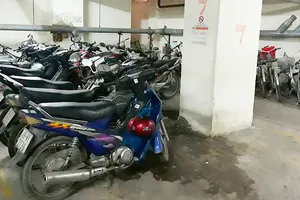 Diệt muỗi ở cao ốc A chung cư Ngô Gia Tự