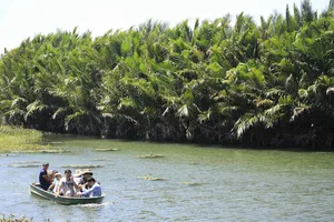 Quảng Ngãi: Chính quyền muốn chặt 50ha dừa nước, nhà khoa học nói phải giữ