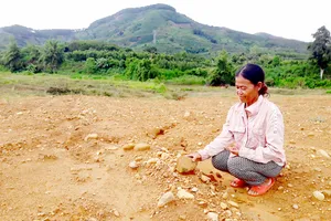 Sống khổ trên…mỏ vàng