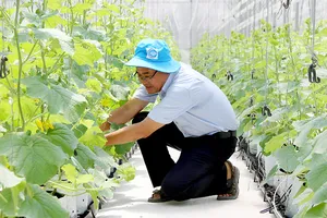 Tiệm cận nông nghiệp 4.0