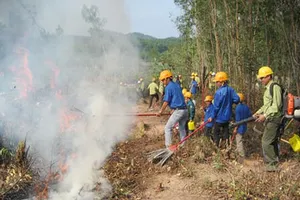 Đắk Nông chủ động phòng chống cháy rừng mùa khô 