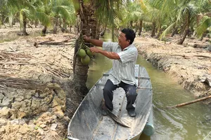 Khi nông dân TPHCM “chuyển bộ”