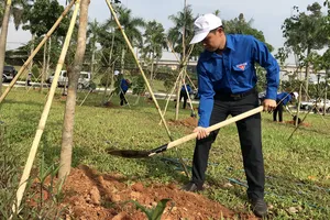 Các bạn thanh niên, học sinh hưởng ứng lễ tết trồng cây 2018. Ảnh: KIỀU PHONG